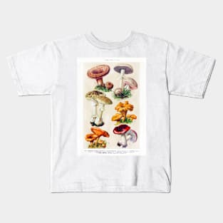 Mushroom species Kids T-Shirt